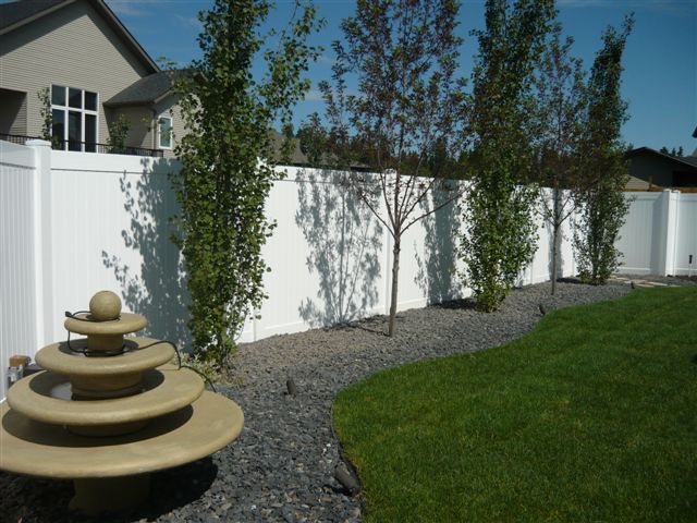 trees in landscaped yard with fountain