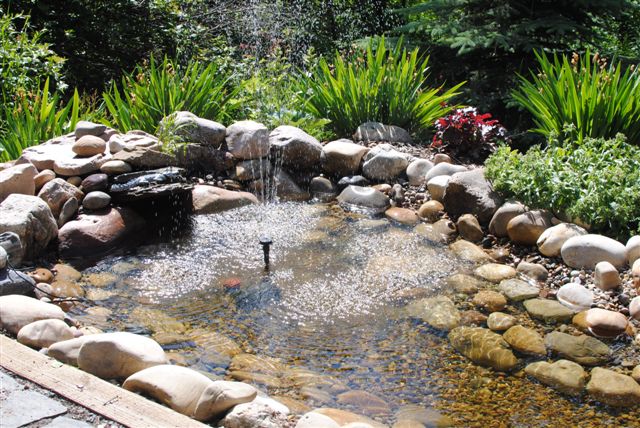 landscaped pond and fountain in garden