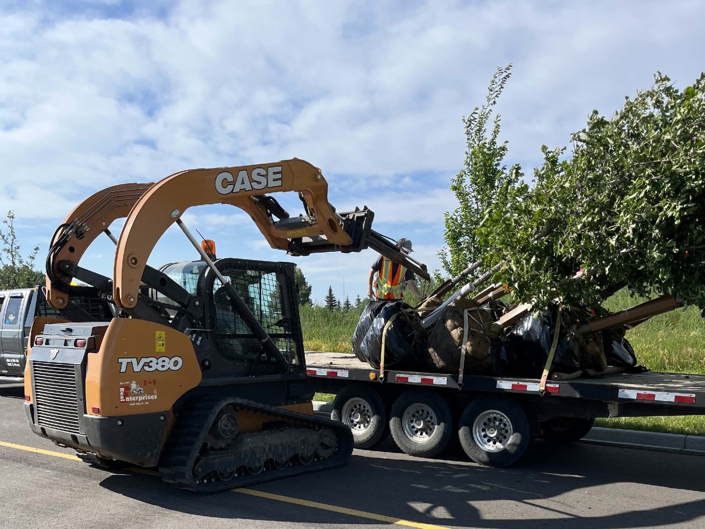 tree delivery