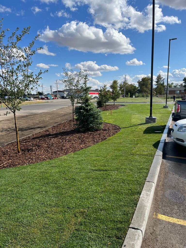 commercial landscape services