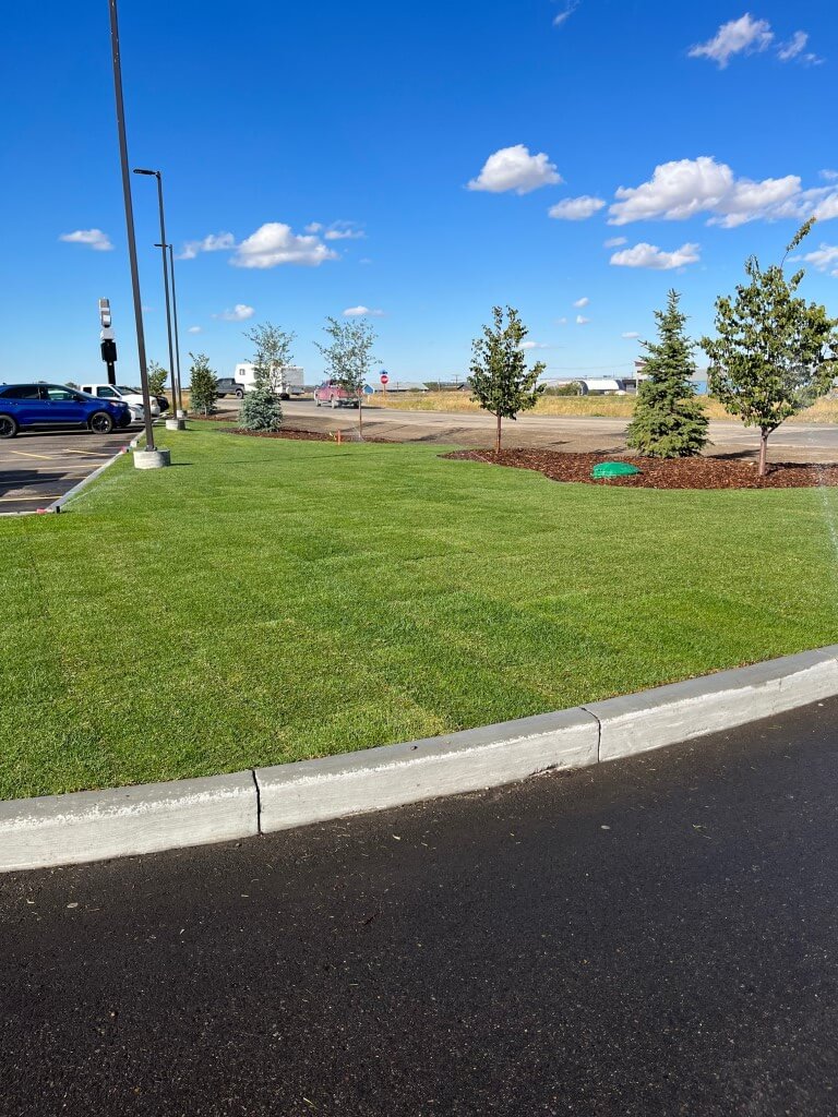 commercial landscape services